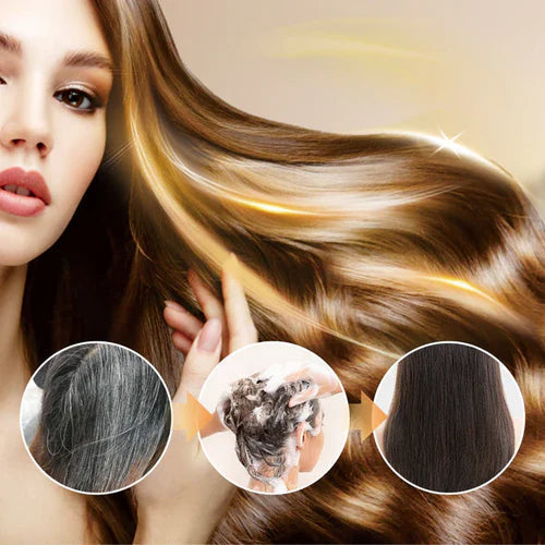 Japanese Long Lasting Natural Hair Dye Shampoo ( Buy 1 Get 1 Free )š„š„