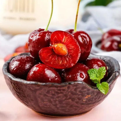 Hybrid Rainier Cherry Fruit Seeds | 🔥GET PLANT GROWTH SERUM FREE 🔥