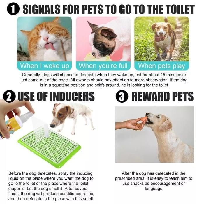 Potty Training Spray for Pets